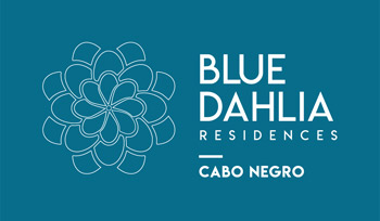 Bluedcabo-logo